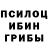 Псилоцибиновые грибы мухоморы Tatiana Macudzinska