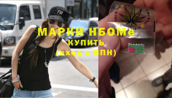 молекула духа Пестово