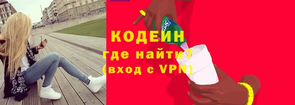 молекула духа Пестово
