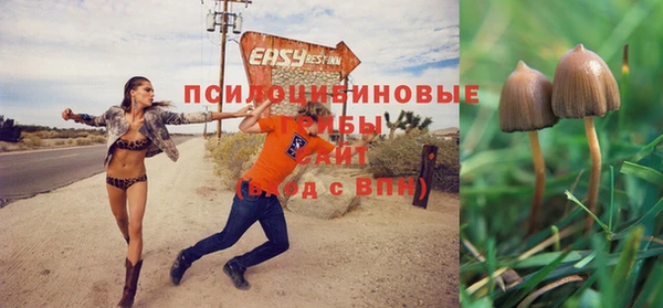 хмурый Покров